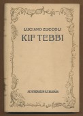 Kif Tebbi. Afrikai regény