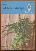 A lakás növényei