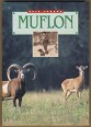 Muflon
