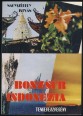 Bonzsúr Indonézia