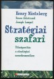 Stratégiai szafari. Útbaigazítás a stratégiai menedzsmentben