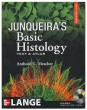 Junqueira's Basic Histology. Text and Atlas