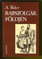 Rabszolgák földjén. Egy magyar nő felfedezők és rabszolgák között 1870-1873