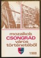 Mozaikok Csongrád város történetéből