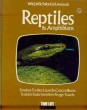 Reptiles & Amphibians