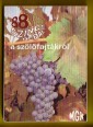 88 színes oldal a szőlőfajtákról