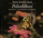 Pollenháború. Képeskönyv a világhódító virágporról