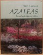 Azaleas