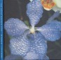 The Colour Garden (Blue) Single Colour Plantings for Dramatic Landscapes