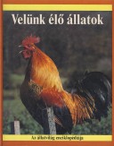 Velünk élő állatok