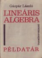 Lineáris algebra. Példatár