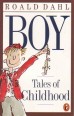 Boy. Tales of Childhood