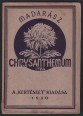 A chrysanthemum termesztése