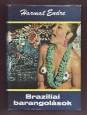 Brazíliai barangolások