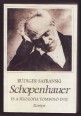 Schopenhauer és a filozófia tomboló évei