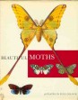 Beautiful Moths