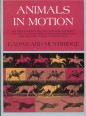 Animals in motion.