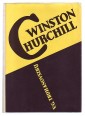 Winston Churchill. Politikai életrajz