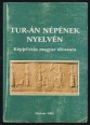 Tur-án népének nyelvén. Képjel-írás magyar olvasata