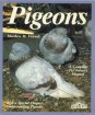 Pigeons. Everything About Purchase, Care, Management, Diet, Diseases, and Behavior of Pigeons.