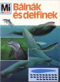 Bálnák és delfinek