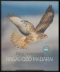 Magyarország ​ragadozó madarai