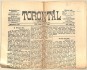 Torontál. Politikai és társadalmi napilap. XXV. évfolyam 110. szám. 1896. május 12.