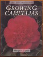 Growing Camellias