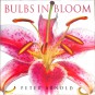 Bulbs in Bloom. Bulbs, Corms, Tubers, Rhizomes and Tuberous Roots