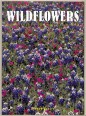 Wildflowers. A Portrait of the Natural World