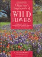 A Gardener's Encyclopedia of Wildflowers: An Organic Guide to Choosing and Growing over 150 Beautiful  Wildflowers